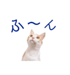 イチローすたんぷ 2（個別スタンプ：11）