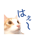 イチローすたんぷ 2（個別スタンプ：13）
