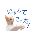 イチローすたんぷ 2（個別スタンプ：14）