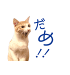 イチローすたんぷ 2（個別スタンプ：18）