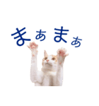 イチローすたんぷ 2（個別スタンプ：20）