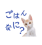 イチローすたんぷ 2（個別スタンプ：22）