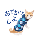 イチローすたんぷ 2（個別スタンプ：25）