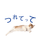 イチローすたんぷ 2（個別スタンプ：26）