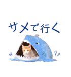イチローすたんぷ 2（個別スタンプ：28）