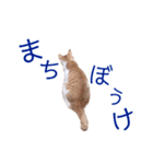 イチローすたんぷ 2（個別スタンプ：29）