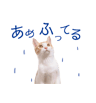 イチローすたんぷ 2（個別スタンプ：30）