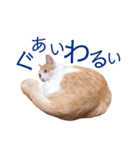 イチローすたんぷ 2（個別スタンプ：32）