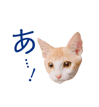 イチローすたんぷ 2（個別スタンプ：36）