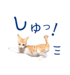イチローすたんぷ 2（個別スタンプ：40）