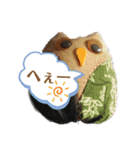 フクロウいっぱい3*（個別スタンプ：1）
