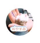 マカロニマウスのきなこ（個別スタンプ：2）