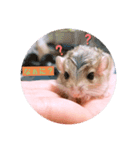 マカロニマウスのきなこ（個別スタンプ：3）