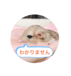 マカロニマウスのきなこ（個別スタンプ：6）