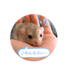 マカロニマウスのきなこ（個別スタンプ：7）