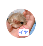 マカロニマウスのきなこ（個別スタンプ：8）