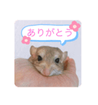 マカロニマウスのきなこ（個別スタンプ：9）