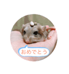 マカロニマウスのきなこ（個別スタンプ：10）