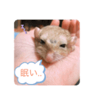 マカロニマウスのきなこ（個別スタンプ：13）