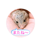 マカロニマウスのきなこ（個別スタンプ：14）
