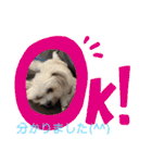 又々まりんとレン（個別スタンプ：2）