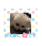 又々まりんとレン（個別スタンプ：4）