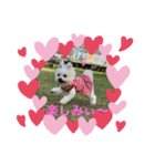 又々まりんとレン（個別スタンプ：11）