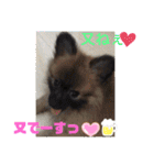 又々まりんとレン（個別スタンプ：22）