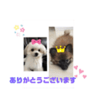 又々まりんとレン（個別スタンプ：23）