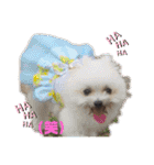 又々まりんとレン（個別スタンプ：28）