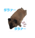 又々まりんとレン（個別スタンプ：29）