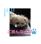又々まりんとレン（個別スタンプ：31）
