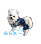 又々まりんとレン（個別スタンプ：32）