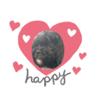 chocoloveevery day（個別スタンプ：4）