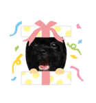 chocoloveevery day（個別スタンプ：6）