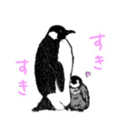 りあるぺんぎん生活（個別スタンプ：3）