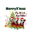 大福家☆～X'mas＆お正月ver～（個別スタンプ：3）