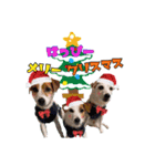 大福家☆～X'mas＆お正月ver～（個別スタンプ：4）