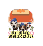 大福家☆～X'mas＆お正月ver～（個別スタンプ：7）