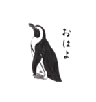 愛らしく真面目なペンギンさん 関西弁（個別スタンプ：5）