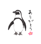 愛らしく真面目なペンギンさん 関西弁（個別スタンプ：7）