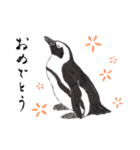 愛らしく真面目なペンギンさん 関西弁（個別スタンプ：8）