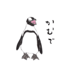 愛らしく真面目なペンギンさん 関西弁（個別スタンプ：10）
