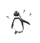 愛らしく真面目なペンギンさん 関西弁（個別スタンプ：16）
