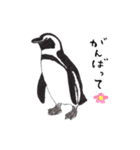 愛らしく真面目なペンギンさん 関西弁（個別スタンプ：18）