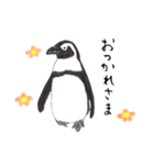 愛らしく真面目なペンギンさん 関西弁（個別スタンプ：21）