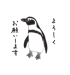 愛らしく真面目なペンギンさん 関西弁（個別スタンプ：23）