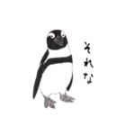 愛らしく真面目なペンギンさん 関西弁（個別スタンプ：25）