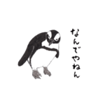 愛らしく真面目なペンギンさん 関西弁（個別スタンプ：26）