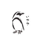 愛らしく真面目なペンギンさん 関西弁（個別スタンプ：27）